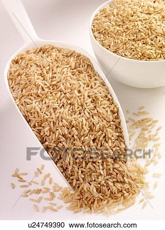 American Brown Rice in Scoop - Non Exclusive View Large Photo Image Stock Image - American Brown Rice in Scoop - Non Exclusive. Fotosearch