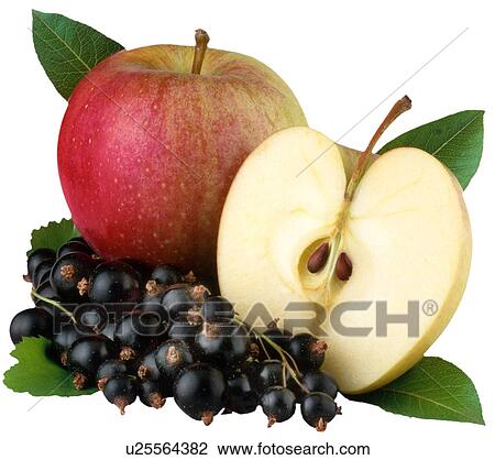 Apple And Blackcurrant - Non Exclusive View Large Photo Image Stock Image - Apple And Blackcurrant - Non Exclusive. Fotosearch
