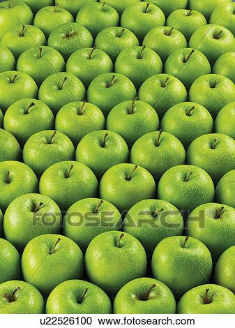 Stock Image - Apples With Dew - Non Exclusive. Fotosearch