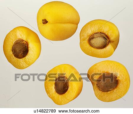Apricot Halves - Non Exclusive View Large Photo Image Stock Photo - Apricot Halves - Non Exclusive. Fotosearch