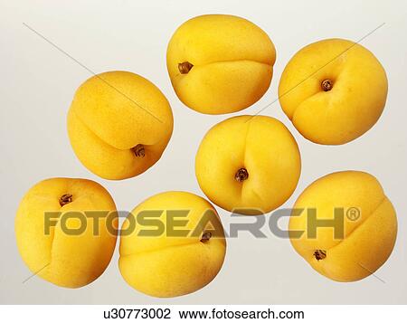 Apricots - Non Exclusive View Large Photo Image Stock Image - Apricots - Non Exclusive. Fotosearch