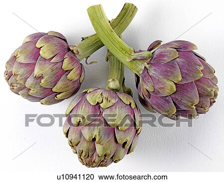 Stock Image - Artichokes - Non Exclusive. Fotosearch