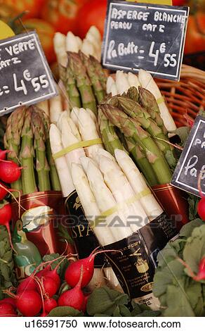asparagus View Large Photo Image Stock Image - asparagus. Fotosearch