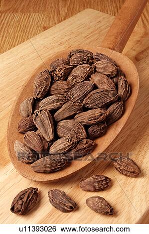 Stock Photograph - Black Cardamom. Fotosearch