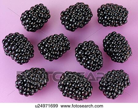 Stock Photo - Blackberries - Non Exclusive. Fotosearch