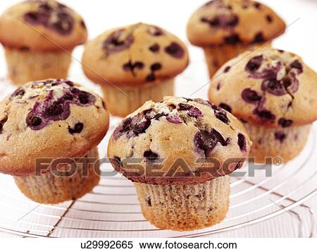 Stock Photography - Blueberry Muffins - Non Exclusive. Fotosearch