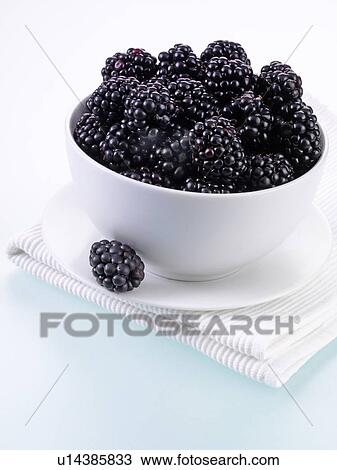 Stock Image - Bowl Of Blackberries. Fotosearch