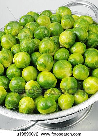 Brussel Sprouts In Colander View Large Photo Image Stock Image - Brussel Sprouts In Colander. Fotosearch