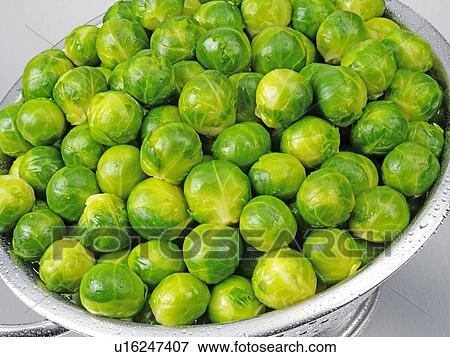 Stock Photo - Brussel Sprouts In Colander. Fotosearch