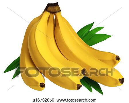 Stock Image - Bunch of Bananas - Non Exclusive. Fotosearch