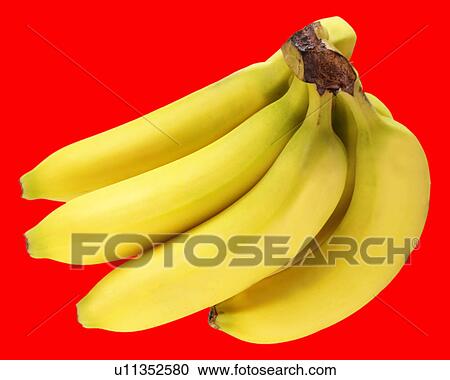 Bunch of bananas on red View Large Photo Image Stock Image - Bunch of bananas on red. Fotosearch