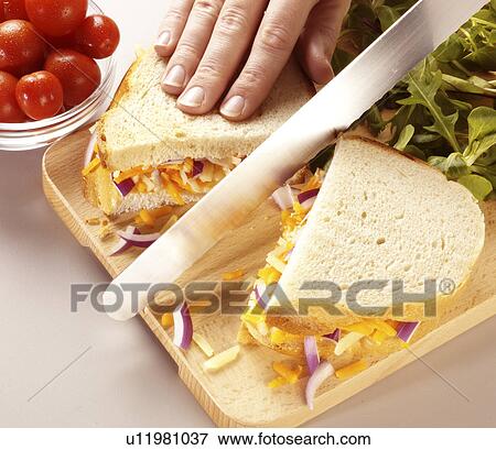 Stock Photo - Cannellini Beans / Alubia Beans. Fotosearch