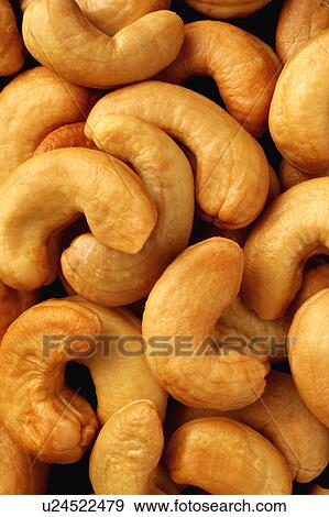 Stock Photo - Cashew nuts. Fotosearch