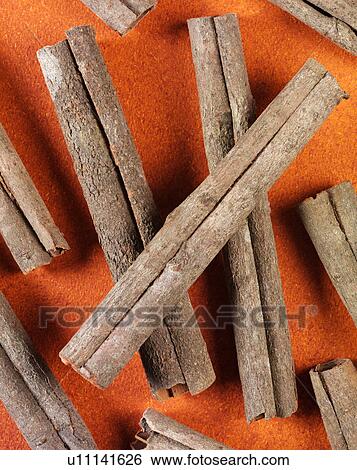 Stock Photograph - Chinese Cinnamon. Fotosearch