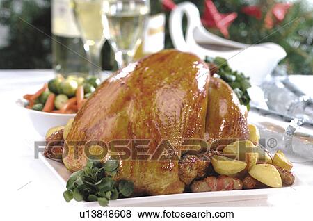 Stock Photo - Christmas turkey. Fotosearch