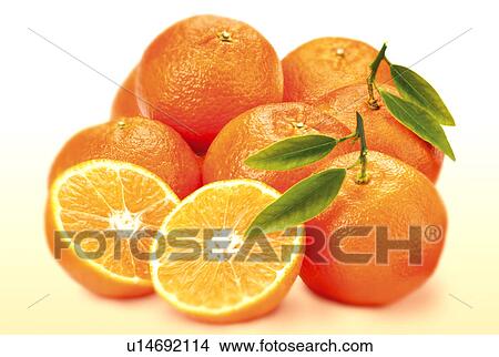 Picture - Clementines Group- Non Exclusive. Fotosearch