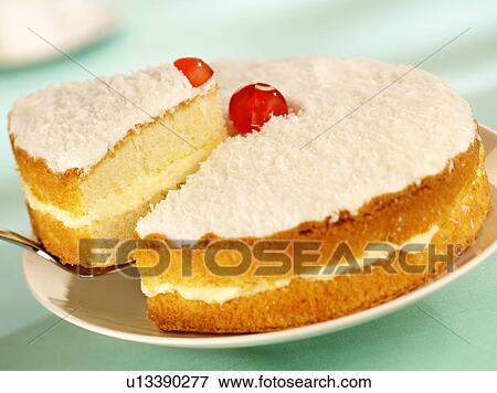 Coconut Sponge Cake - Non Exclusive View Large Photo Image Stock Photo - Coconut Sponge Cake - Non Exclusive. Fotosearch