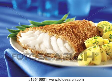 Stock Image - Cod In Batter - Non Exclusive. Fotosearch