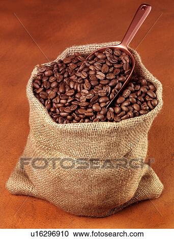 Coffee Beans in Bag - Non Exclusive View Large Photo Image Stock Image - Coffee Beans in Bag - Non Exclusive. Fotosearch
