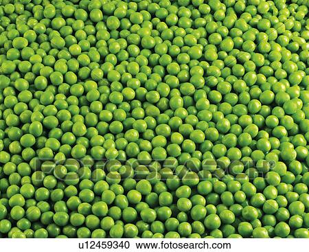 Stock Image - Cooked Garden Peas - Non Exclusive. Fotosearch