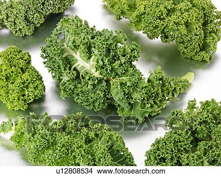 Picture - Curly Kale Leaves. Fotosearch