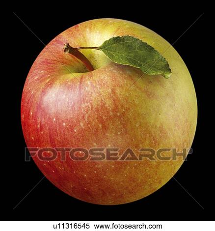 Stock Photography - Dessert apple on black. Fotosearch