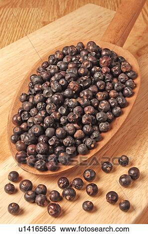 Dried Juniper Berries View Large Photo Image Stock Photography - Dried Juniper Berries. Fotosearch