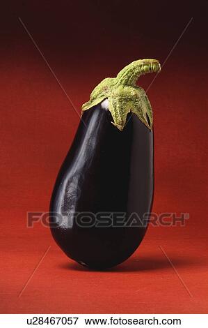 Stock Photo - Egg plant, aubergine. Fotosearch