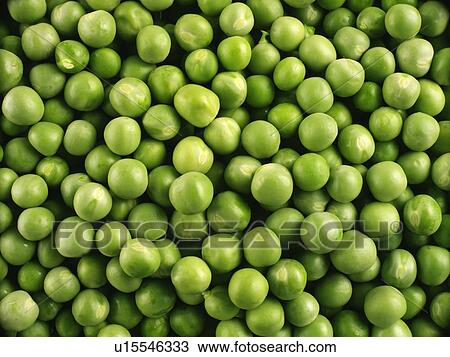 Fresh Peas View Large Photo Image Stock Image - Fresh Peas. Fotosearch