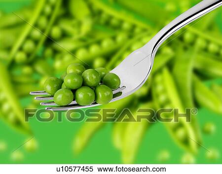 Stock Photography - Garden Peas - Non Exclusive. Fotosearch