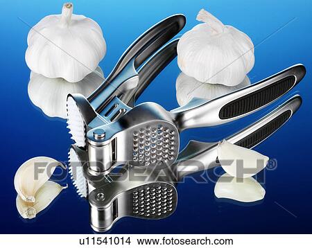 Garlic Crusher - Non Exclusive View Large Photo Image Picture - Garlic Crusher - Non Exclusive. Fotosearch
