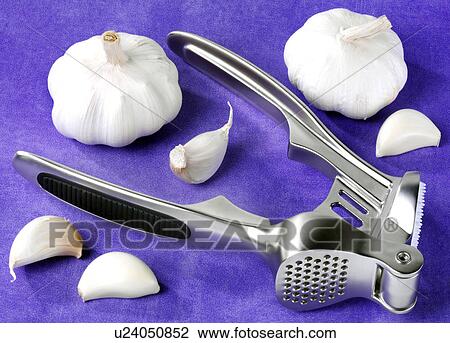 Stock Image - Garlic Crusher - Non Exclusive. Fotosearch