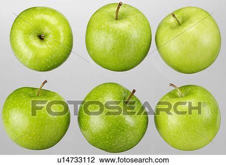 Granny Smith Apples - Non Exclusive View Large Photo Image Stock Image - Granny Smith Apples - Non Exclusive. Fotosearch