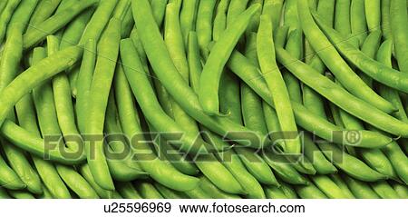 Stock Photo - green french beans. Fotosearch