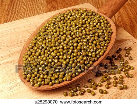 Green Mung Beans View Large Photo Image Stock Image - Green Mung Beans. Fotosearch
