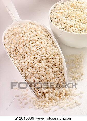 Italian Risotto Rice in Scoop - Non Exclusive View Large Photo Image Stock Photo - Italian Risotto Rice in Scoop - Non Exclusive. Fotosearch