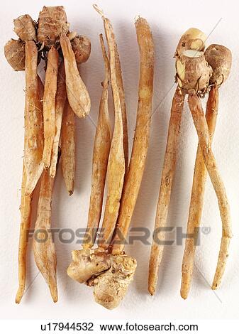 Stock Image - Kra Chai. Fotosearch