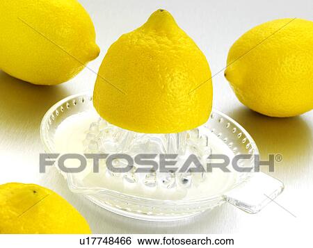 Lemon Juicer View Large Photo Image Stock Photograph - Lemon Juicer. Fotosearch