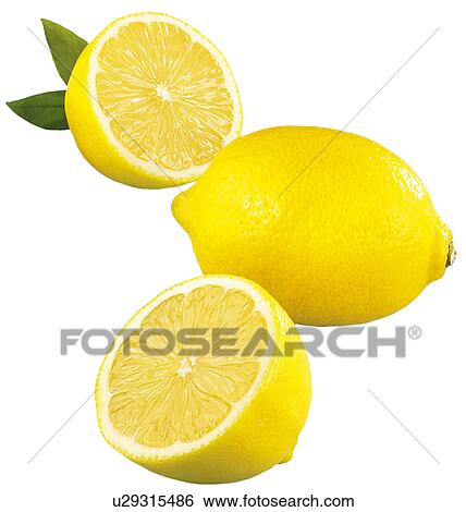 Stock Photograph - Lemons on White - Non Exclusive. Fotosearch