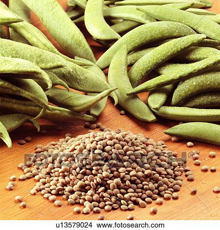 Picture - Lentils and green beans. Fotosearch