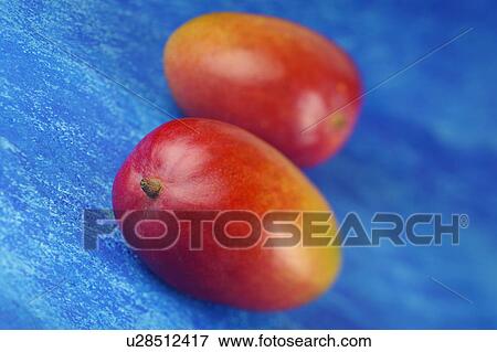Stock Photo - Mangoes. Fotosearch
