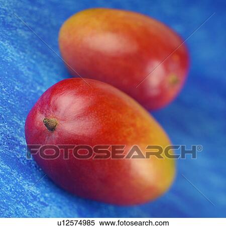 Stock Photography - Mangoes. Fotosearch