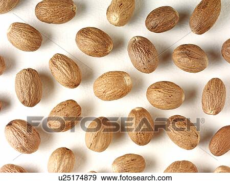 Nutmeg View Large Photo Image Stock Photo - Nutmeg. Fotosearch