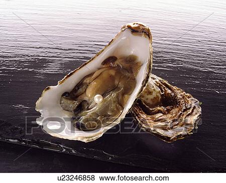 Stock Photo - Oyster With Pearl - Non Exclusive. Fotosearch
