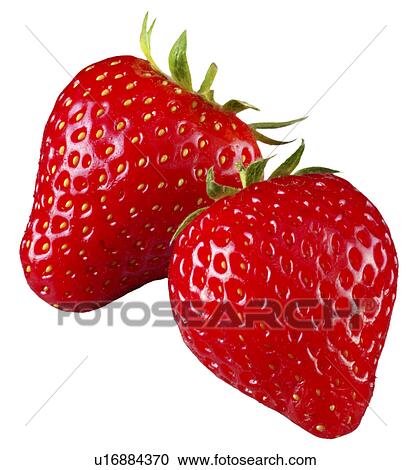 Pair of Strawberries - Non Exclusive View Large Photo Image Stock Image - Pair of Strawberries - Non Exclusive. Fotosearch