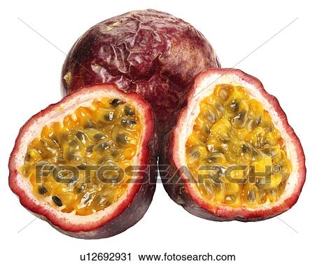 Passion Fruit - Non Exclusive View Large Photo Image Stock Image - Passion Fruit - Non Exclusive. Fotosearch
