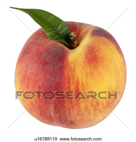Stock Image - Peach with leaf on white. Fotosearch