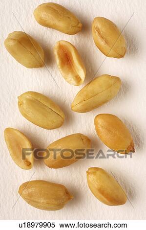Stock Photography - Peanuts on white. Fotosearch