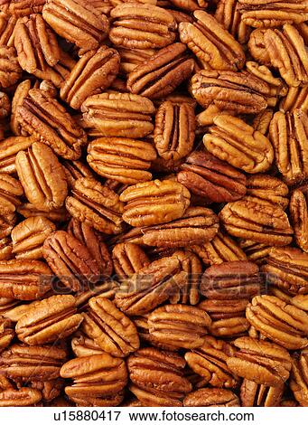 Pecan Nuts - Non Exclusive View Large Photo Image Stock Photo - Pecan Nuts - Non Exclusive. Fotosearch
