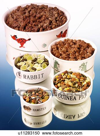Pet Foods - Non Exclusive View Large Photo Image Stock Image - Pet Foods - Non Exclusive. Fotosearch